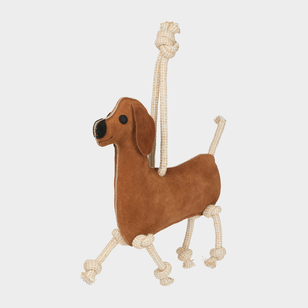 Horse Toy Sausage Dog