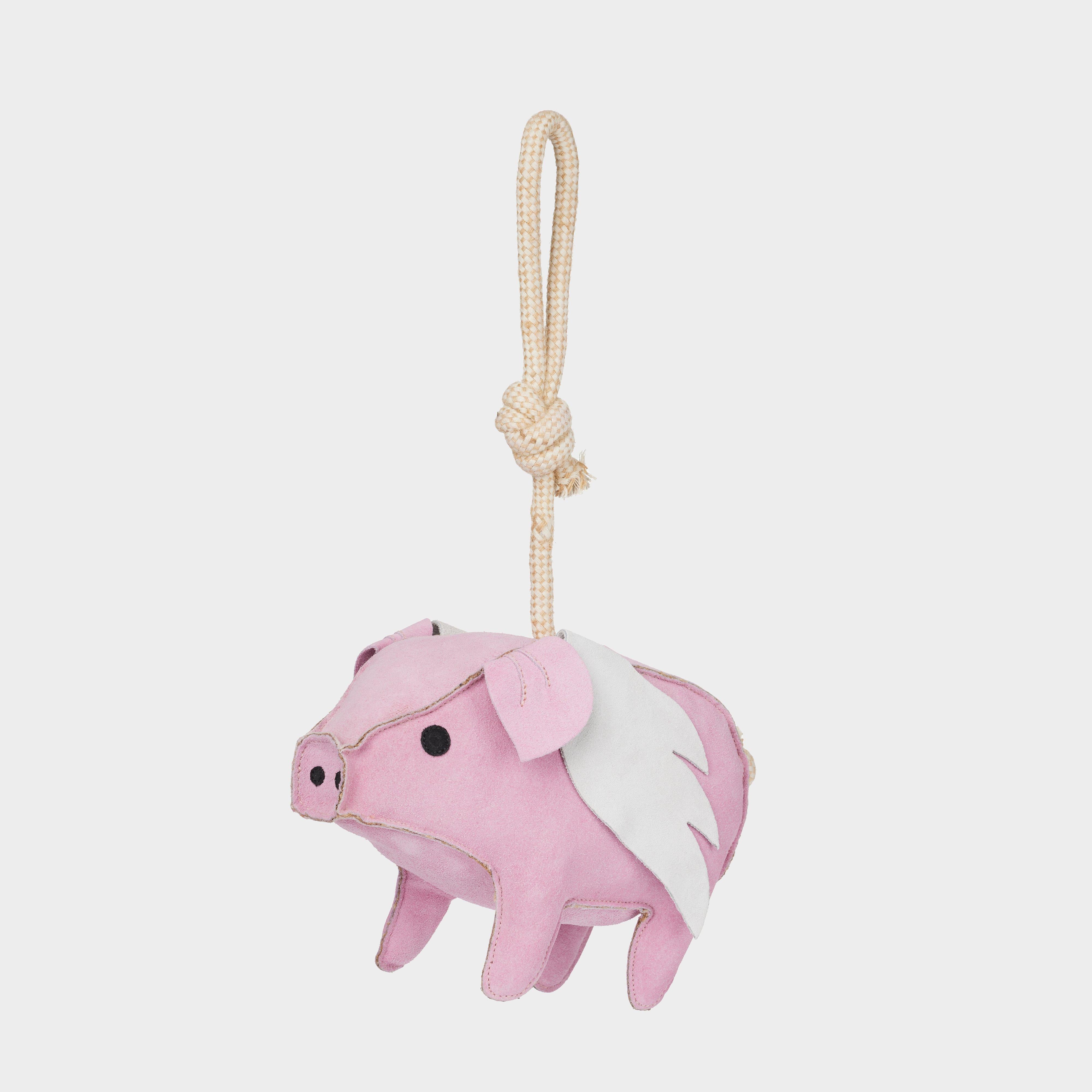 Horse Toy Flying Pig