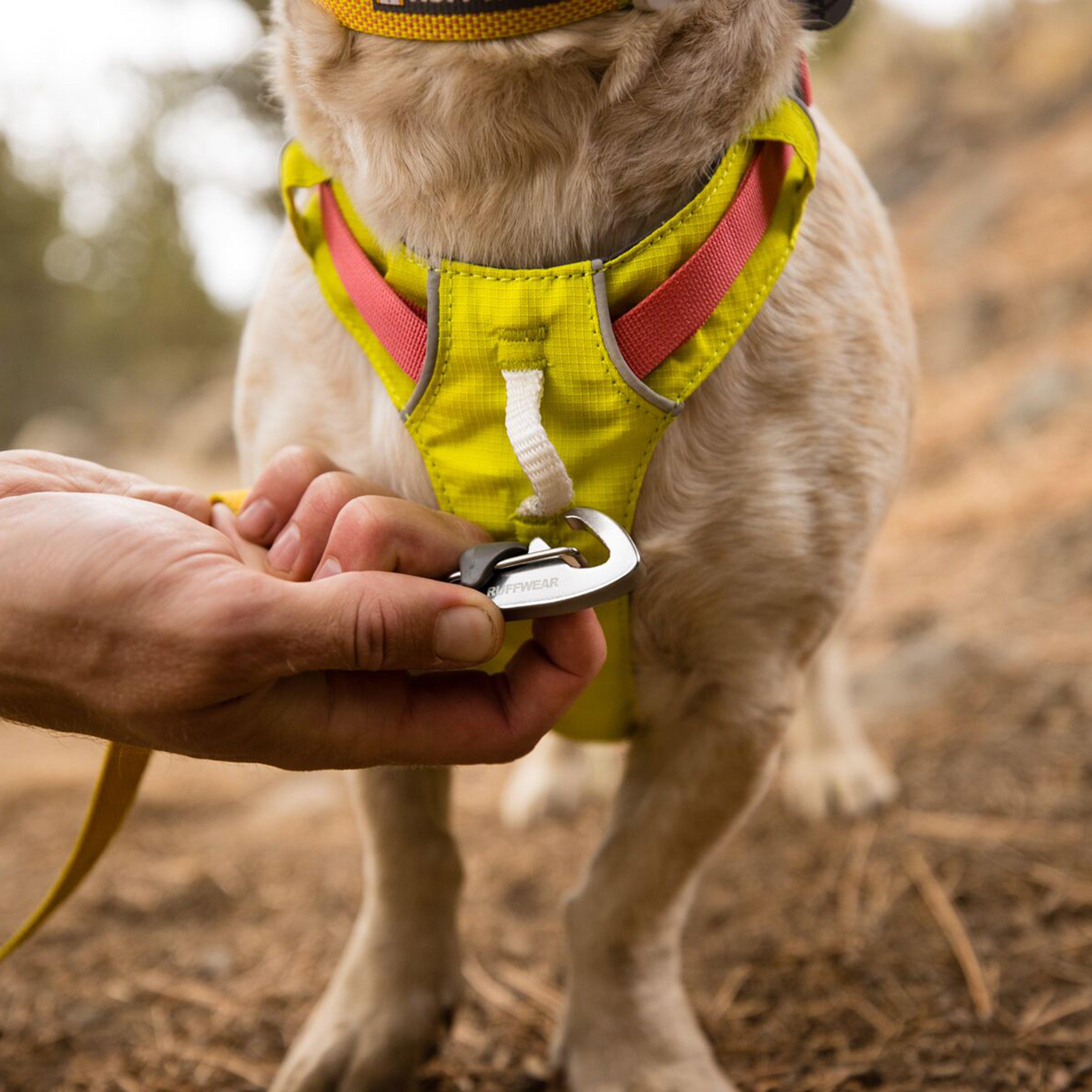 Hi & Light™ Lightweight Dog Harness Lichen Green - Medium