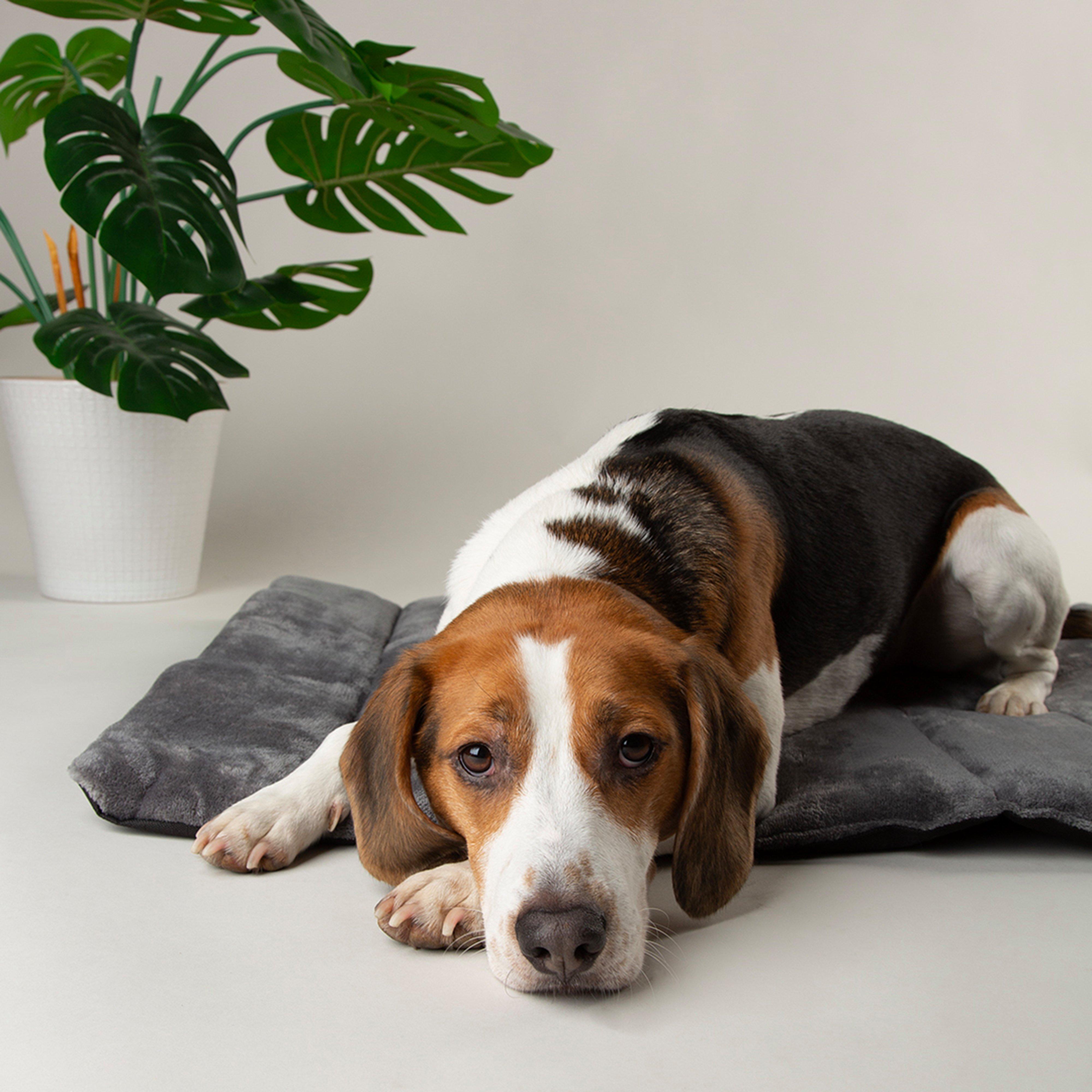 Expedition Roll Up Travel Pet Bed Storm Grey