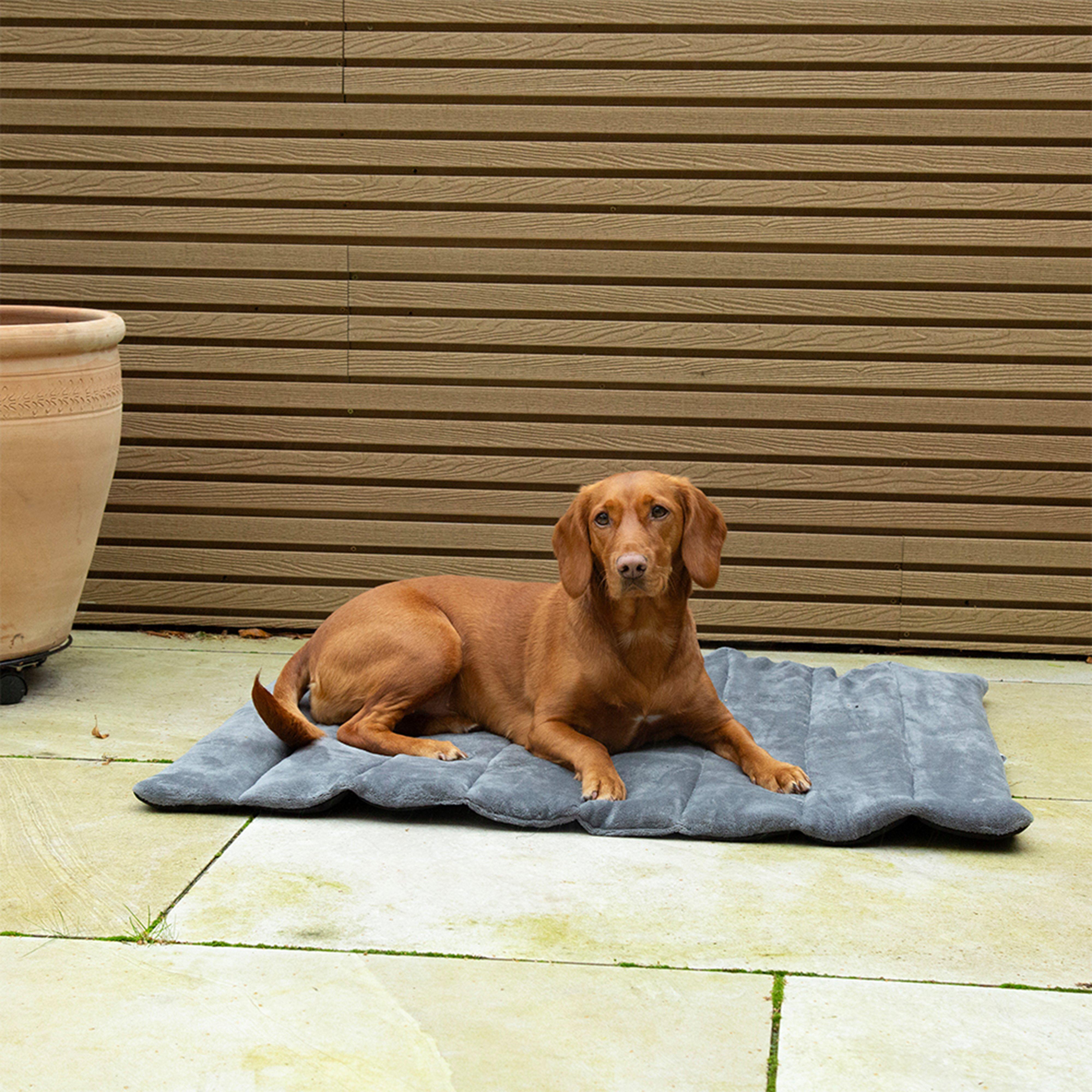 Expedition Roll Up Travel Pet Bed Khaki Green