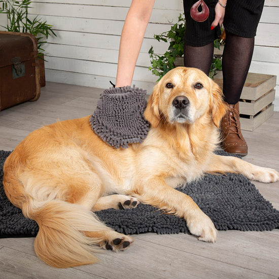 Noodle Dry Mitt Grey