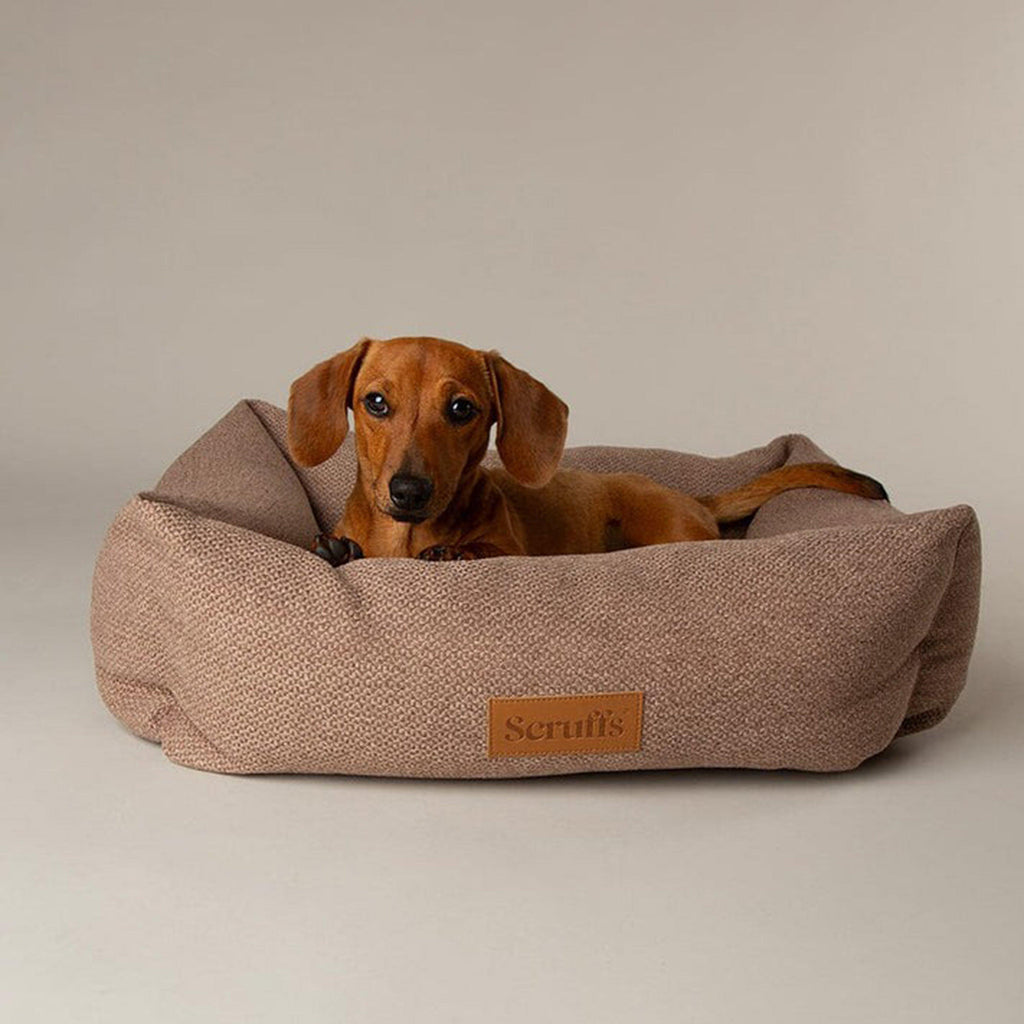 Seattle Box Bed Sienna Brown XL