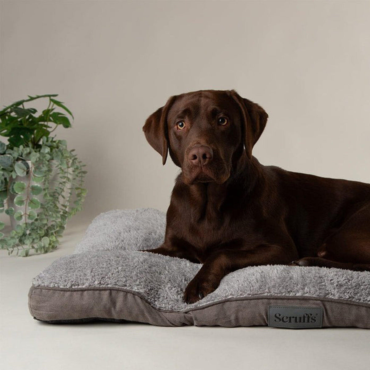 Cosy Mattress Grey M