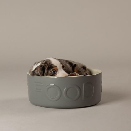 Classic Food Bowl Grey 19cm