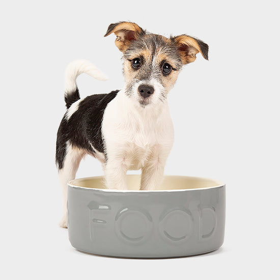 Classic Food Bowl Grey 25cm