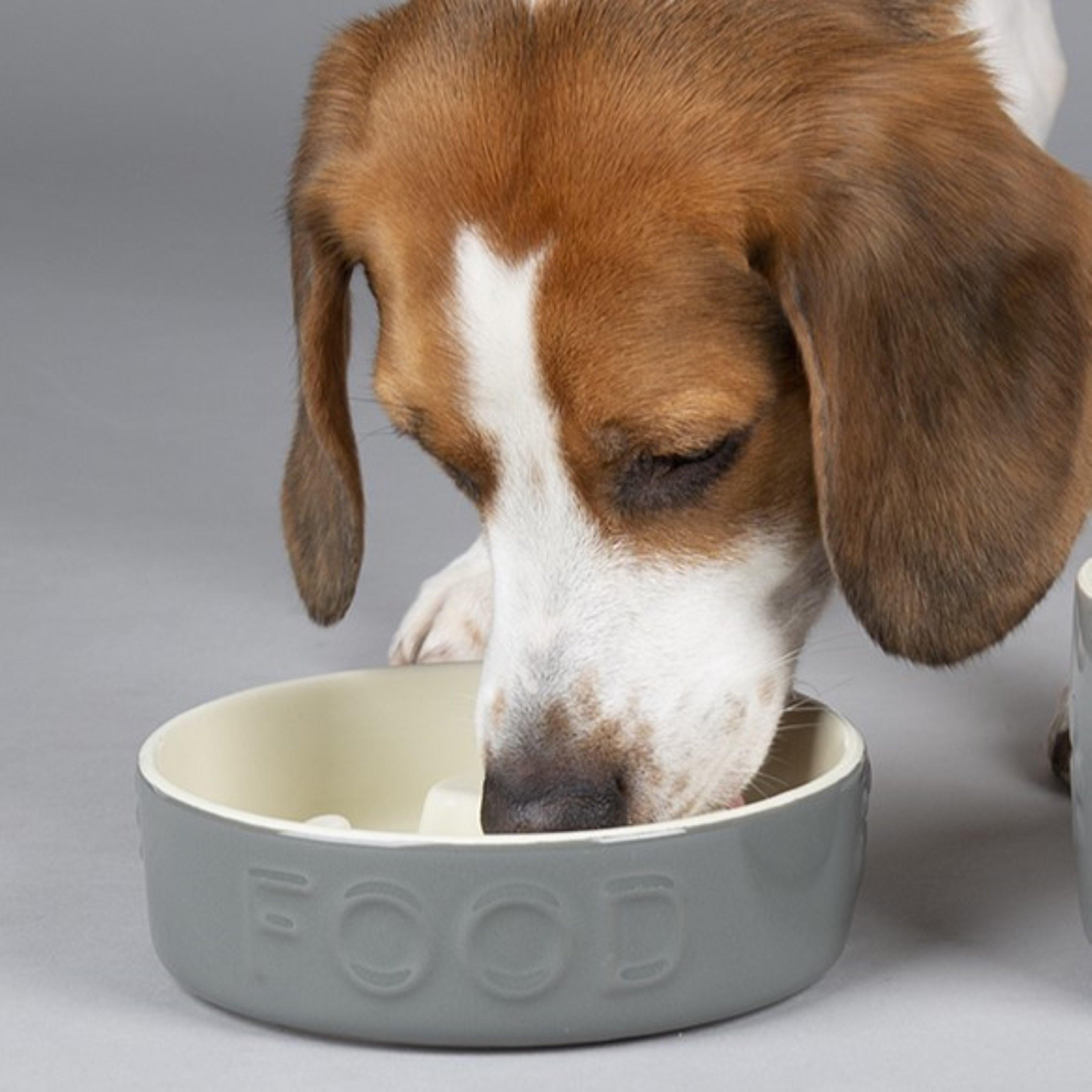 Classic Dog Slow Feeder Bowl Grey 16cm