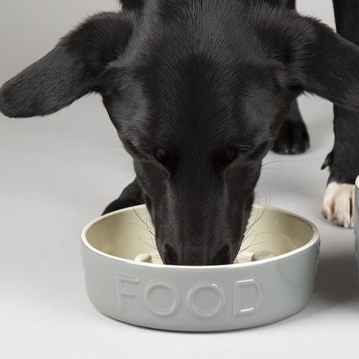 Classic Dog Slow Feeder Bowl Grey 20cm