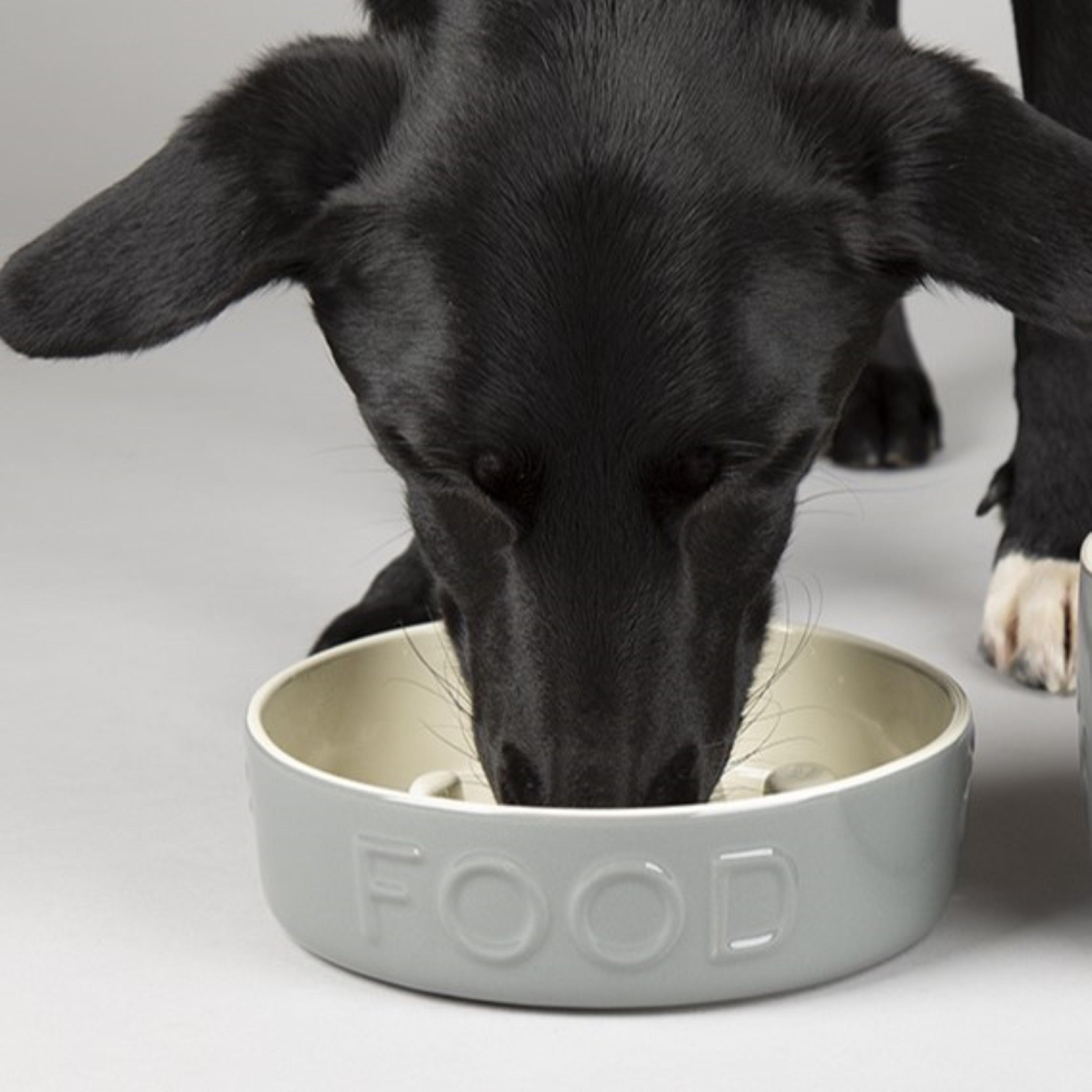 Classic Dog Slow Feeder Bowl Grey 20cm