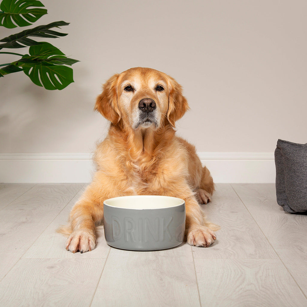 Classic Water Bowl Grey 20cm