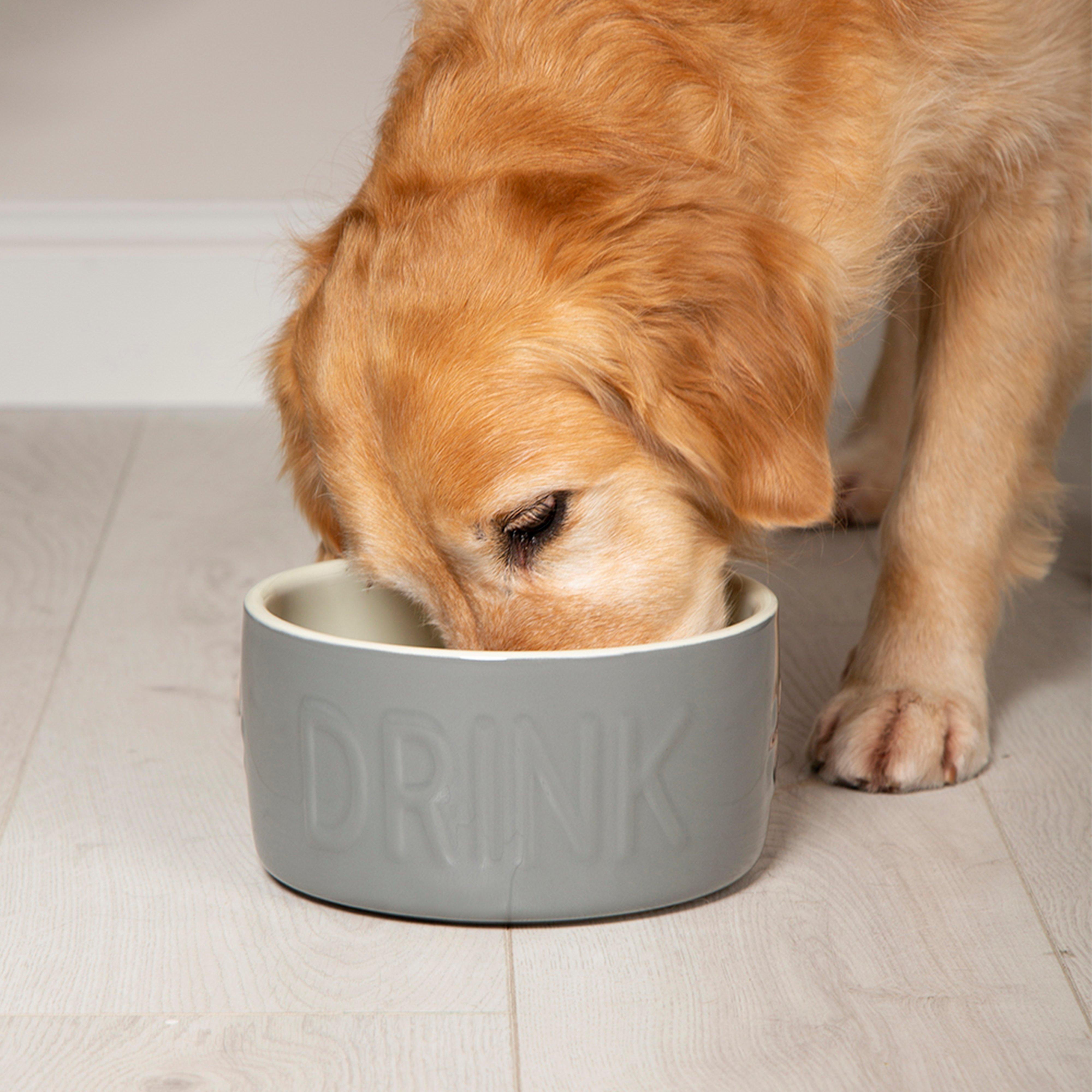 Classic Water Bowl Grey 20cm
