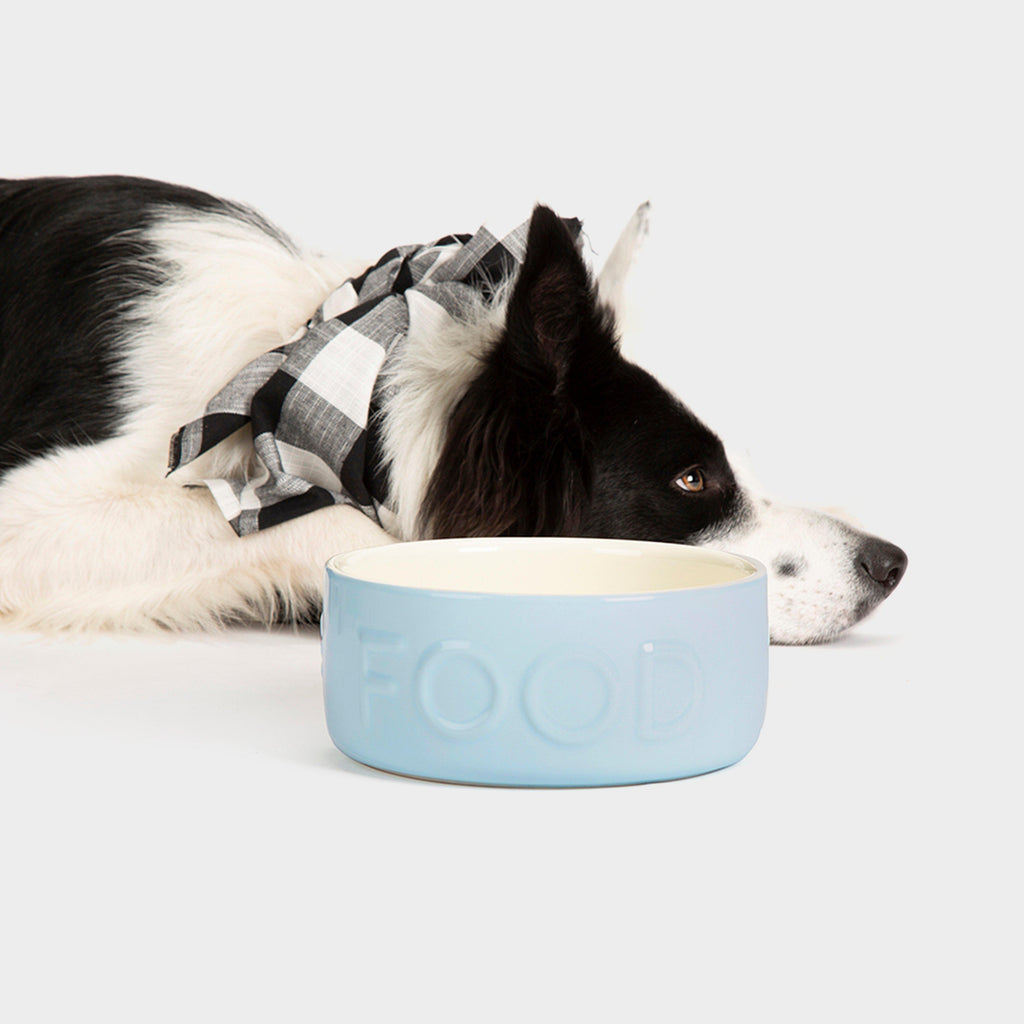 Classic Food Bowl Blue 19cm