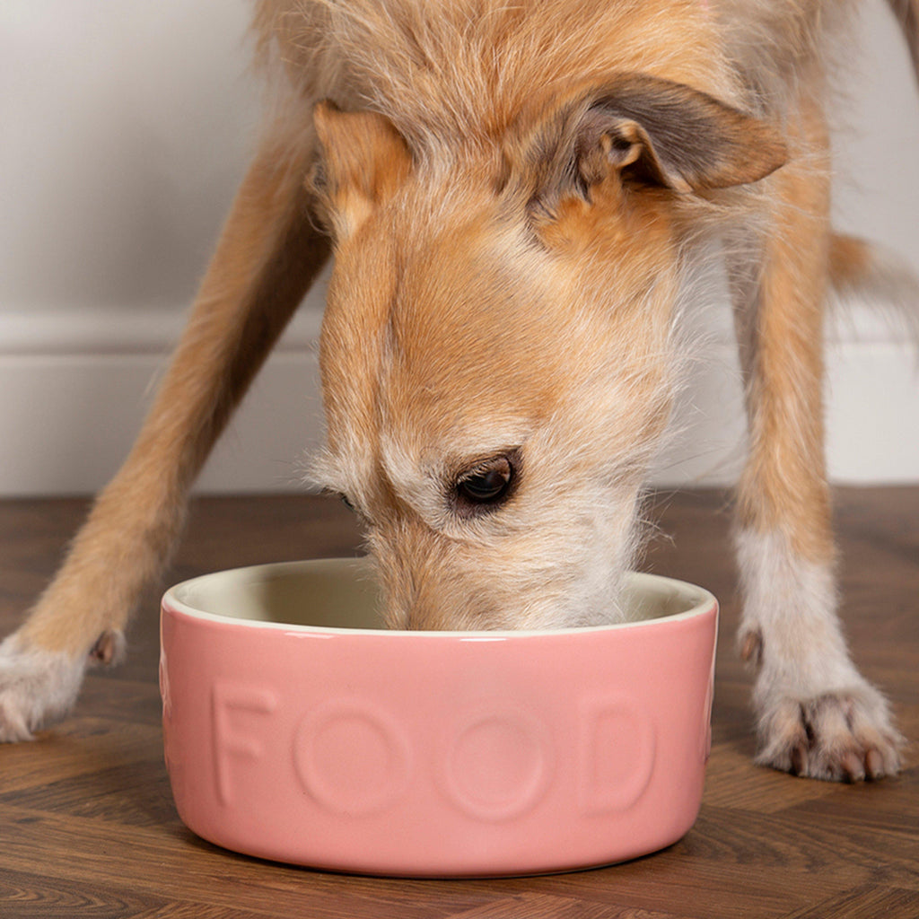 Classic Food Bowl Pink 15cm