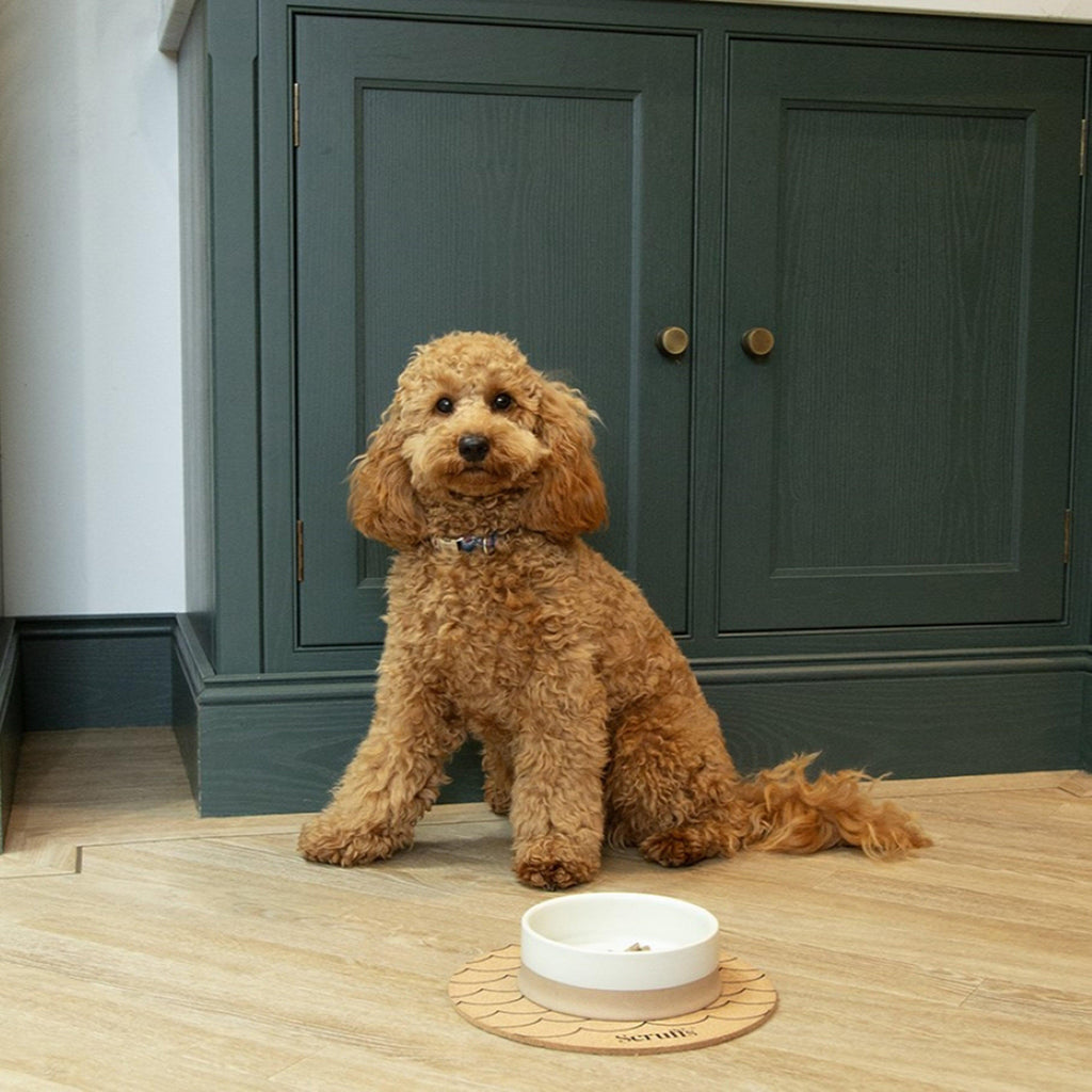 Scandi Non Tip Bowl Cream 14cm