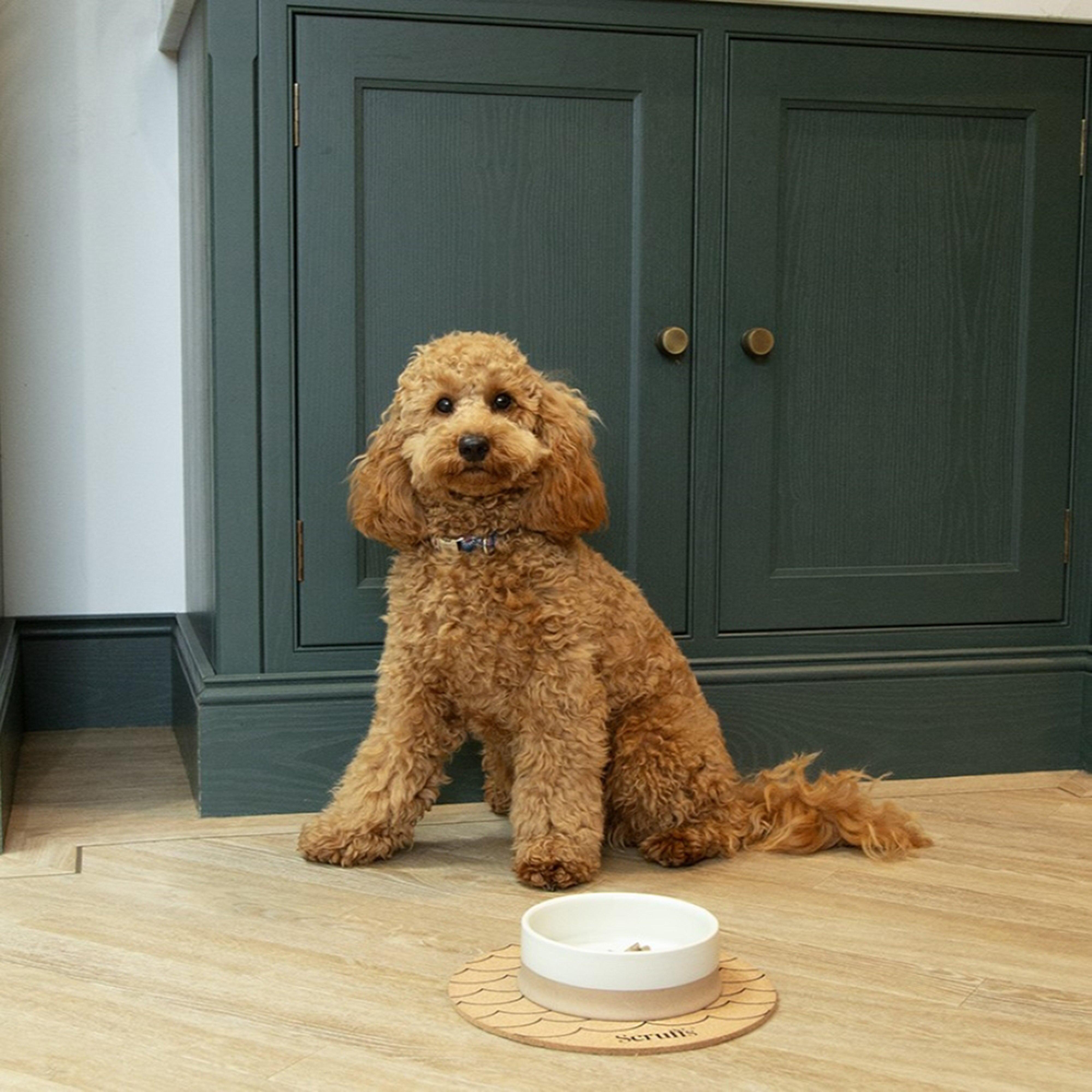 Scandi Non Tip Bowl Cream 14cm