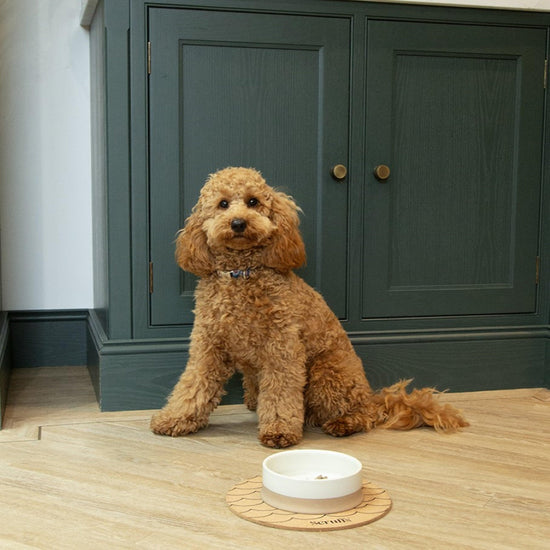 Scandi Non Tip Bowl Cream 14cm