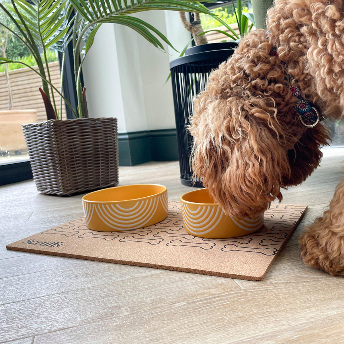 Cork Pet Placemat Bone Print