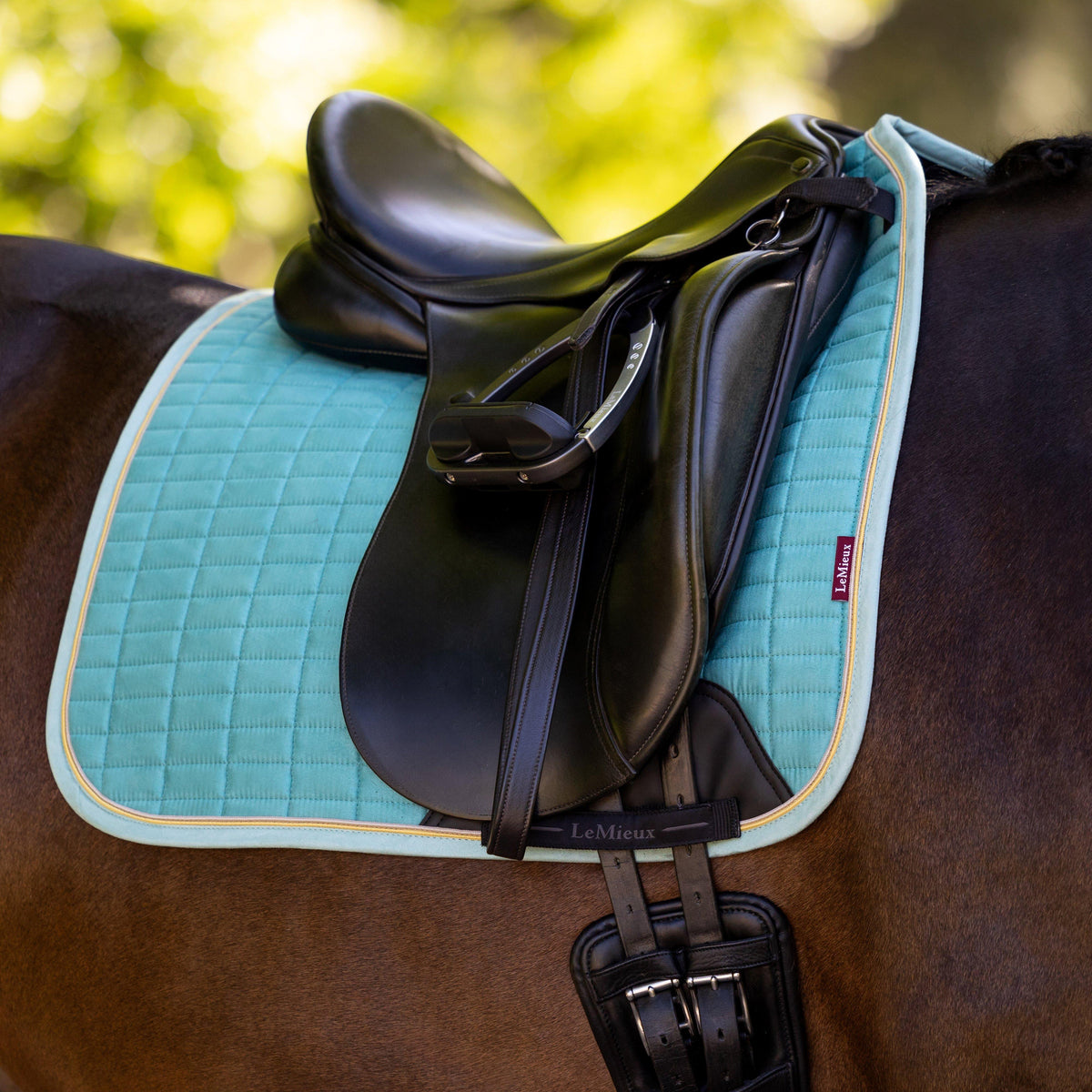 Suede Dressage Saddle Pad Lagoon