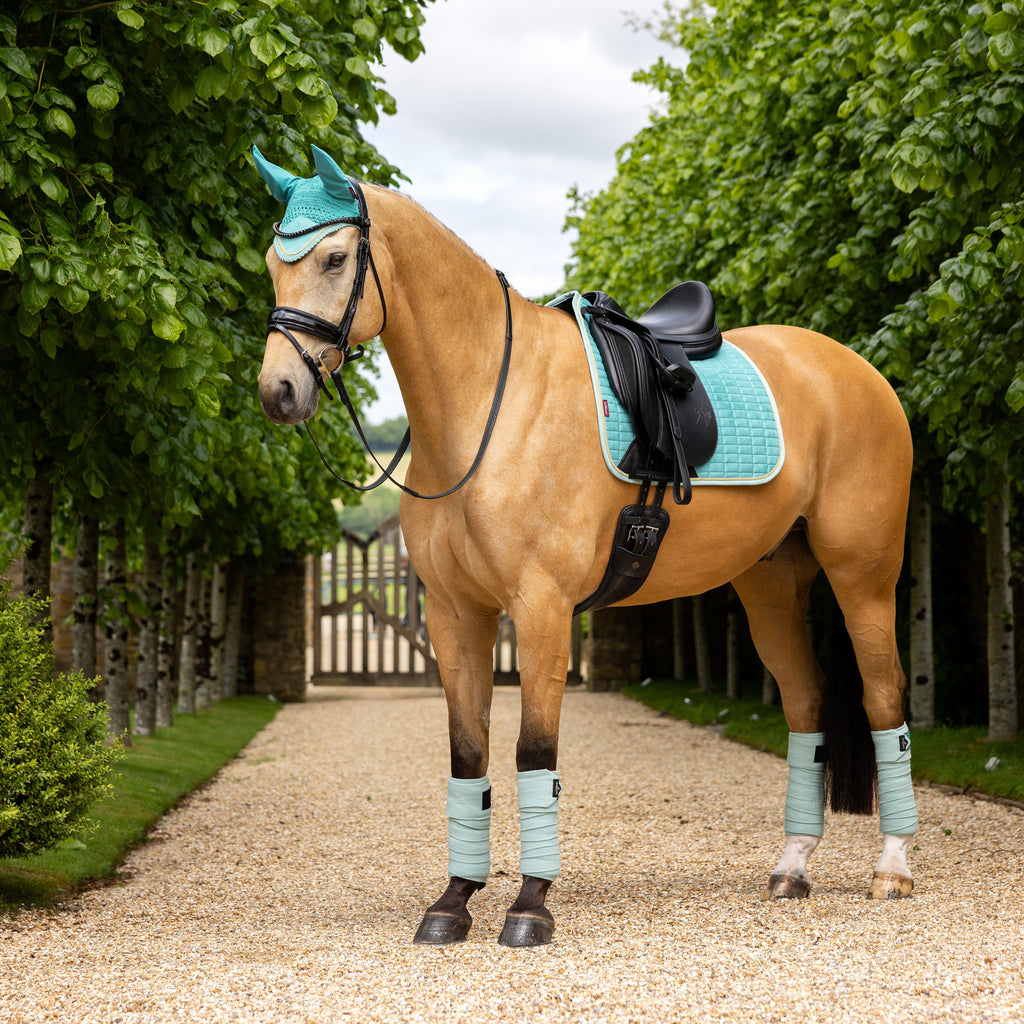 Suede Dressage Saddle Pad Lagoon