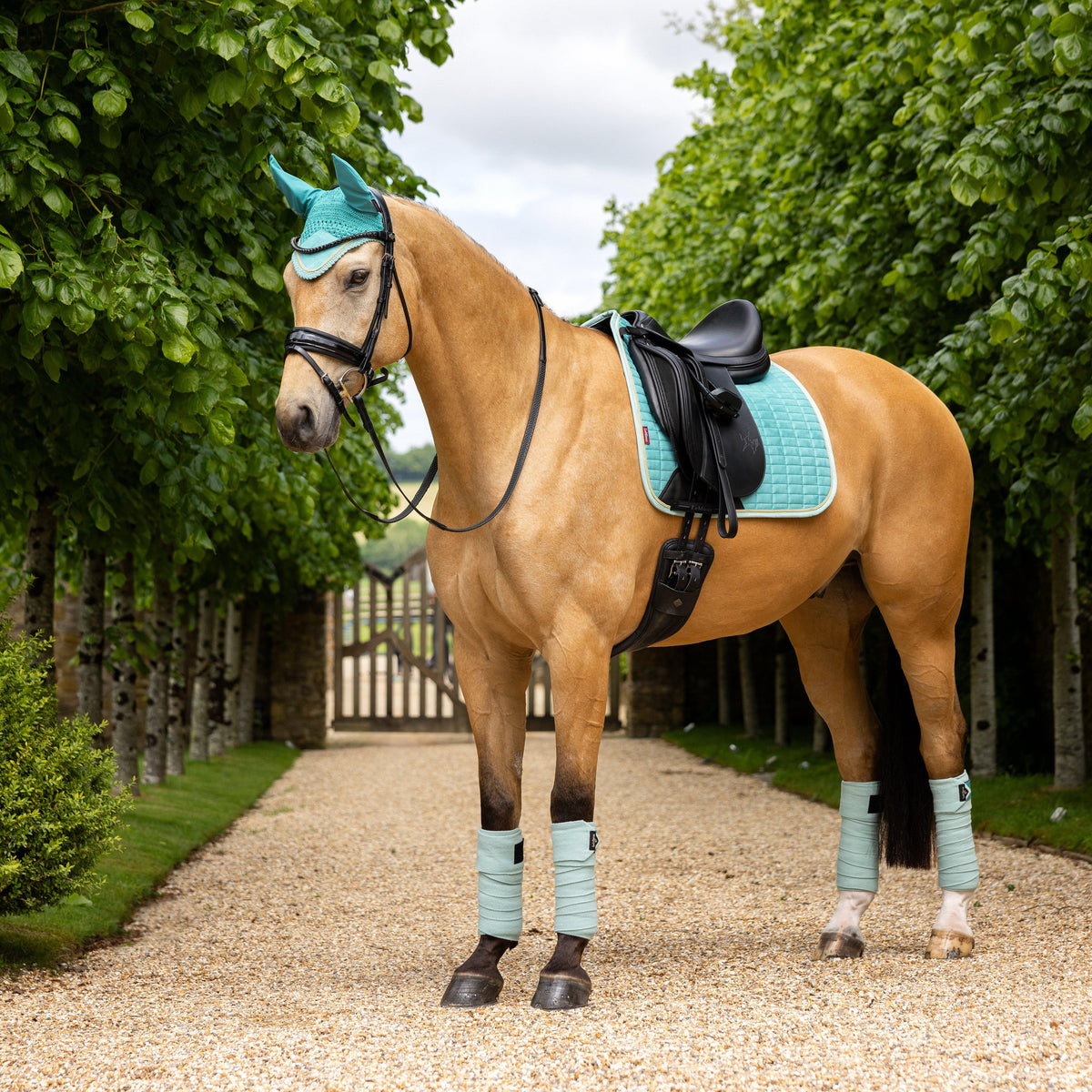 Suede Dressage Saddle Pad Lagoon