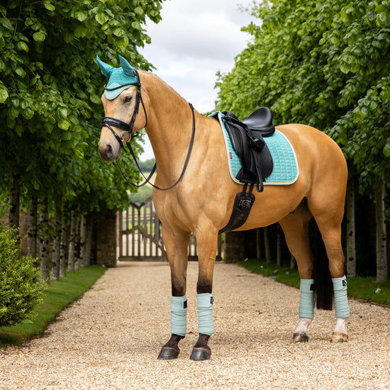 Suede Dressage Saddle Pad Lagoon