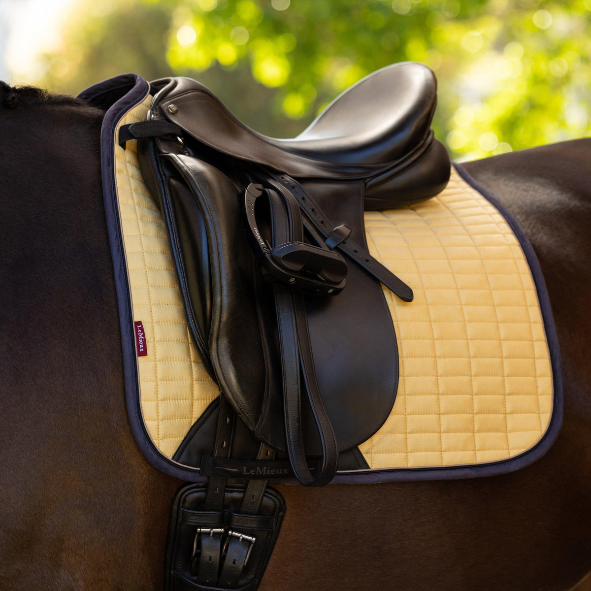 Suede Dressage Saddle Pad Mimosa