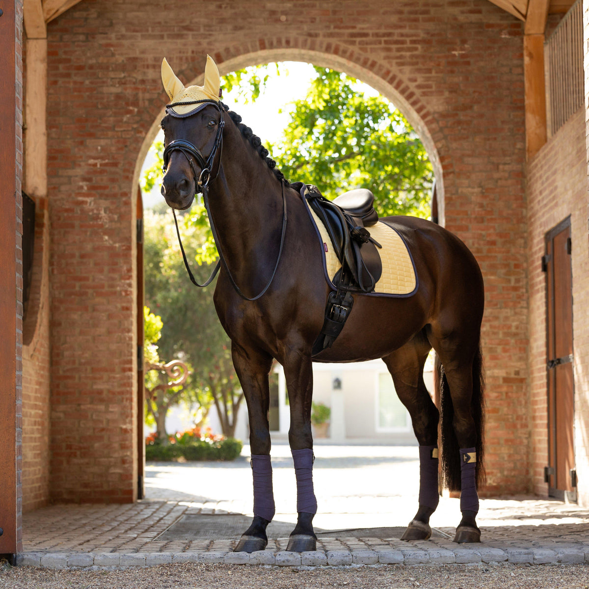 Suede Dressage Saddle Pad Mimosa