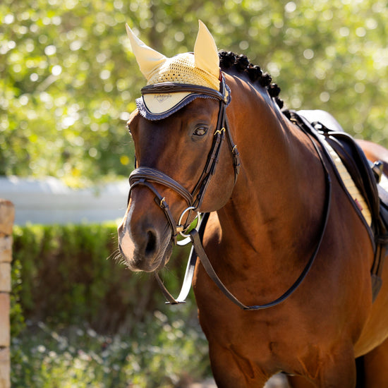 Classic Fly Hood Mimosa