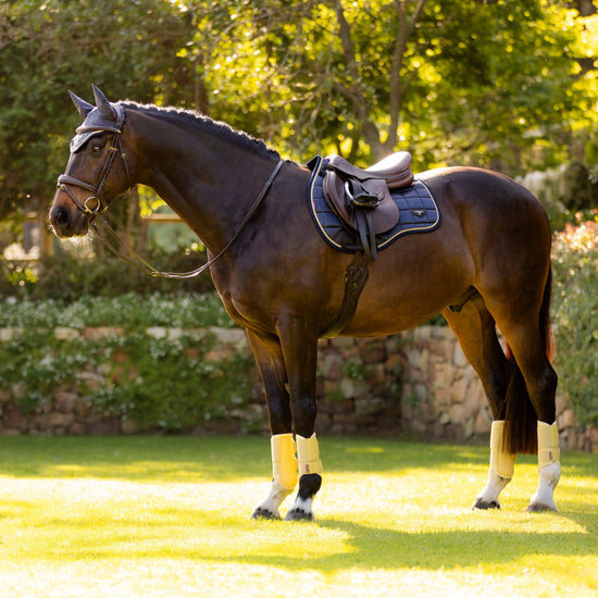Loire Classic GP Saddle Pad Dusk Blue