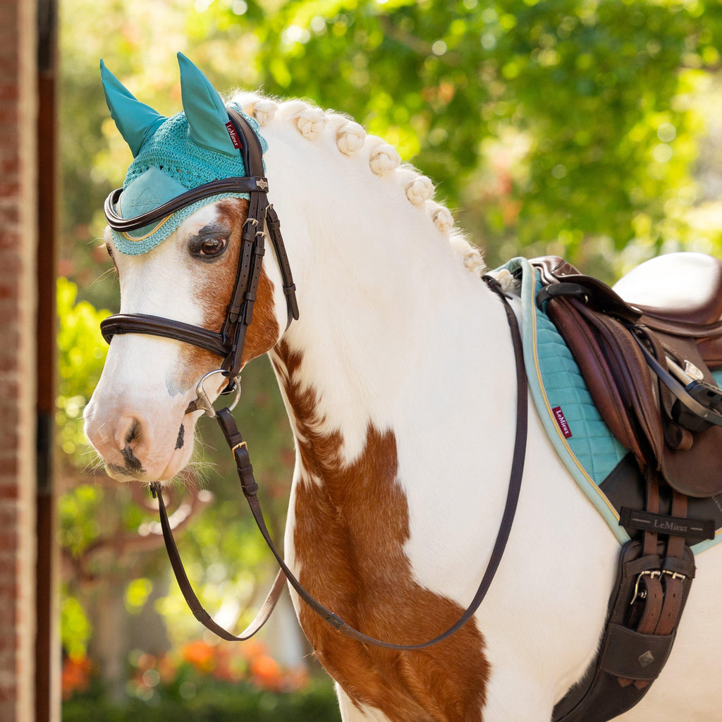 Mini Fly Hood Lagoon