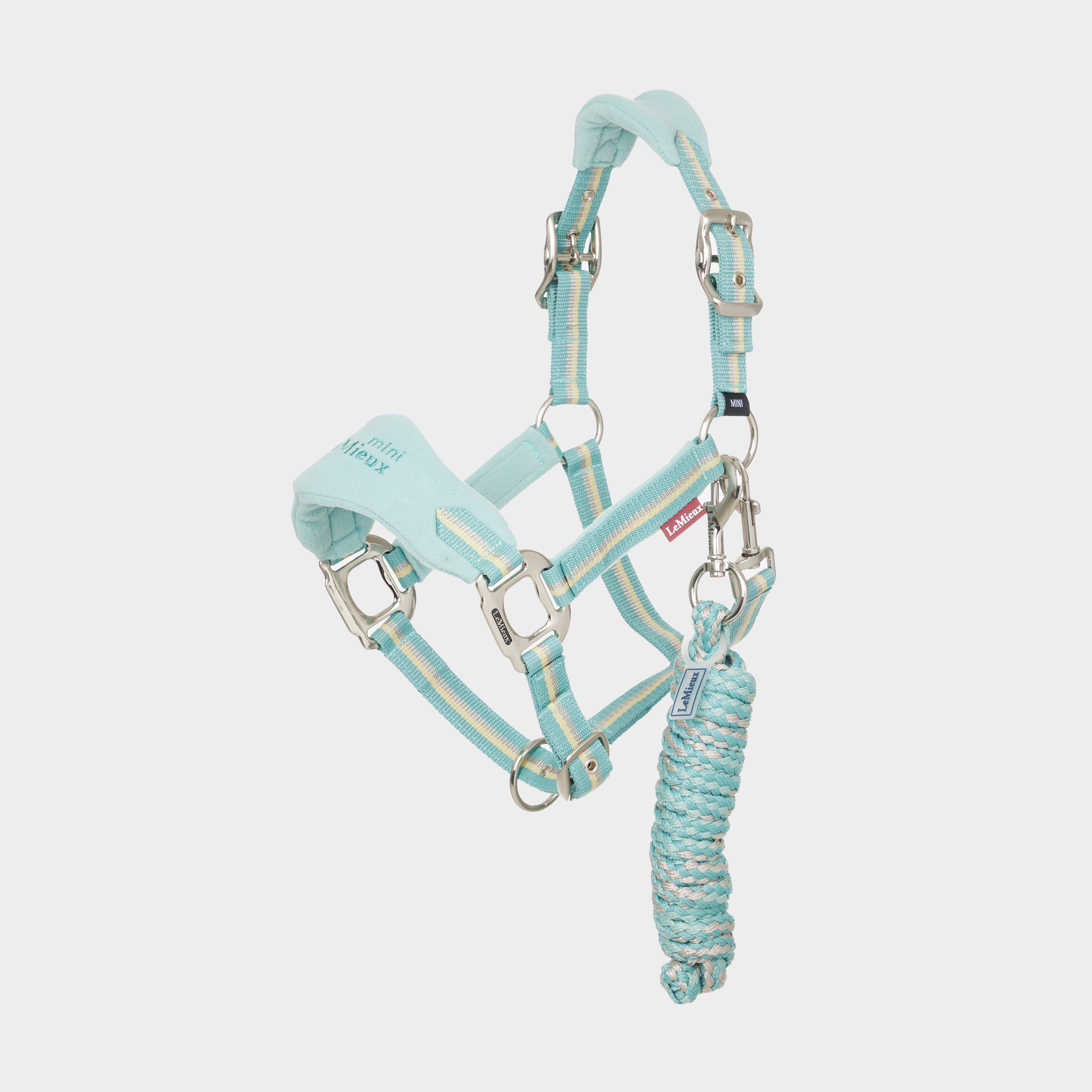 Mini Vogue Headcollar and Leadrope Aqua