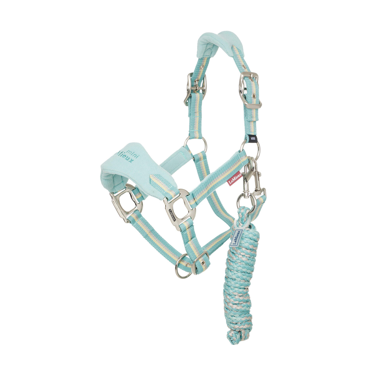 Mini Vogue Headcollar and Leadrope Aqua