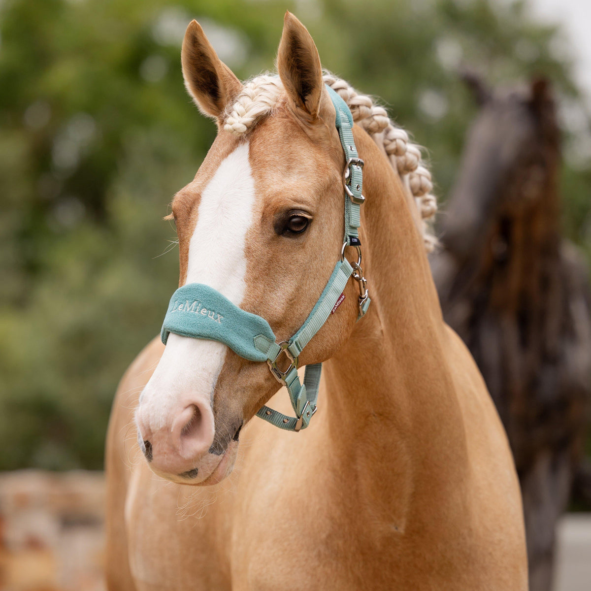 Vogue Headcollar & Leadrope Lagoon