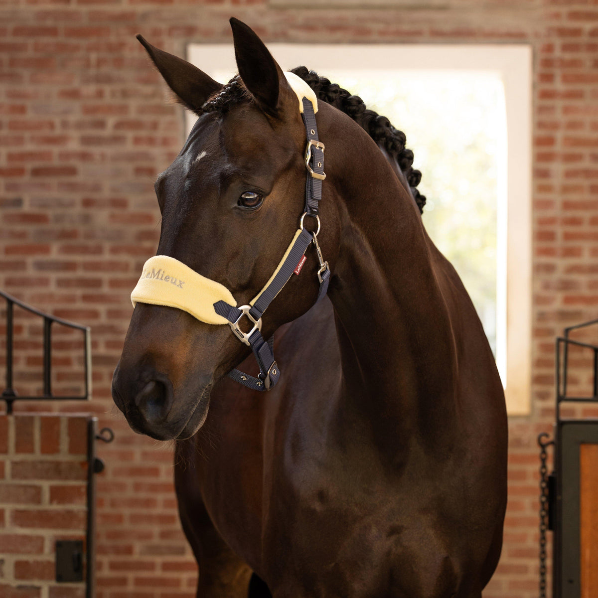 Vogue Headcollar & Leadrope Mimosa