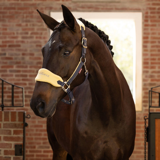 Vogue Headcollar & Leadrope Mimosa