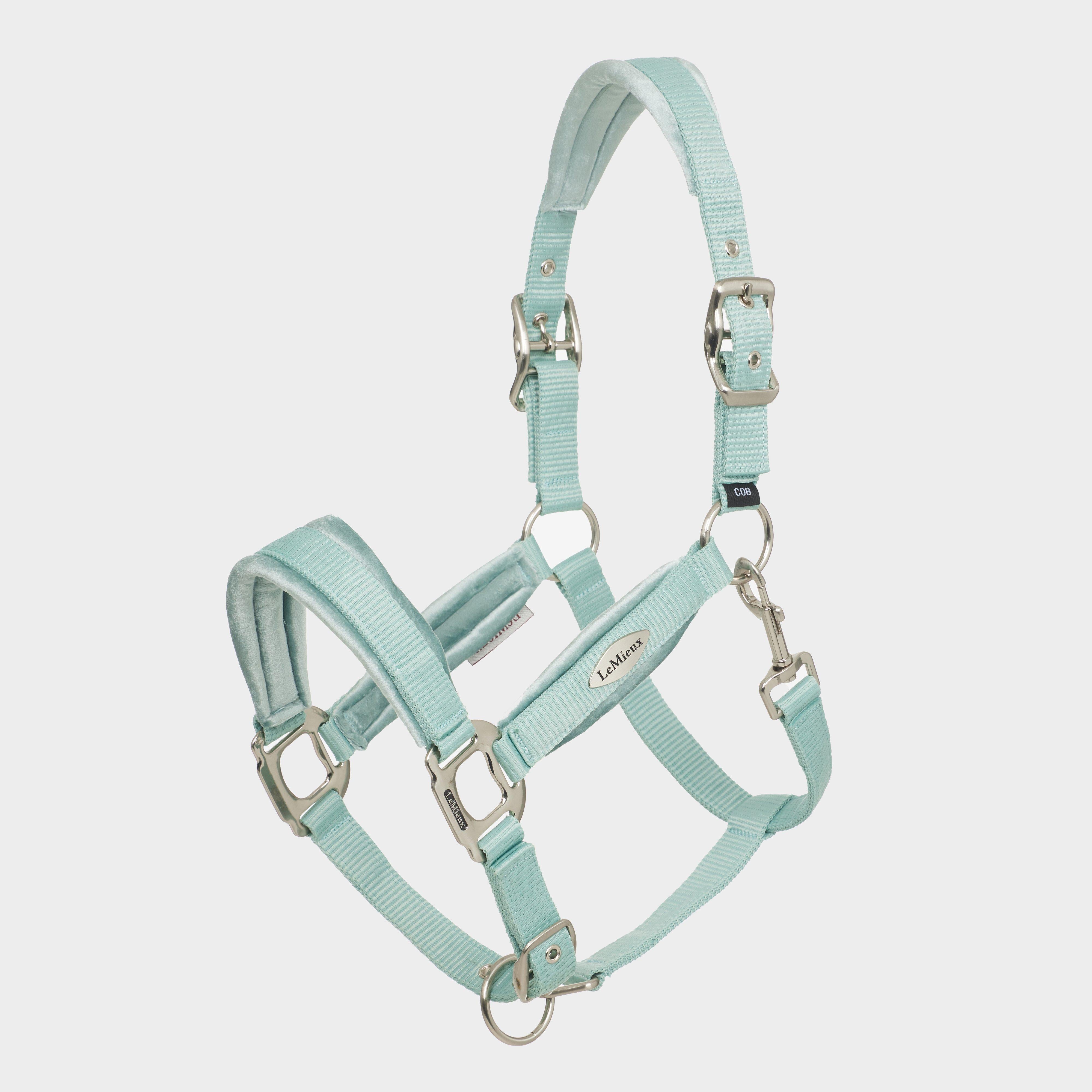 Versailles Headcollar Aqua