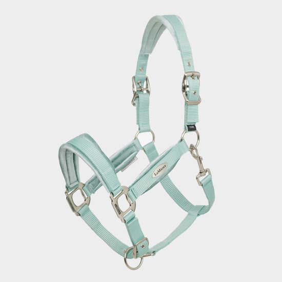 Versailles Headcollar Aqua