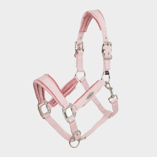 Versailles Headcollar Blossom