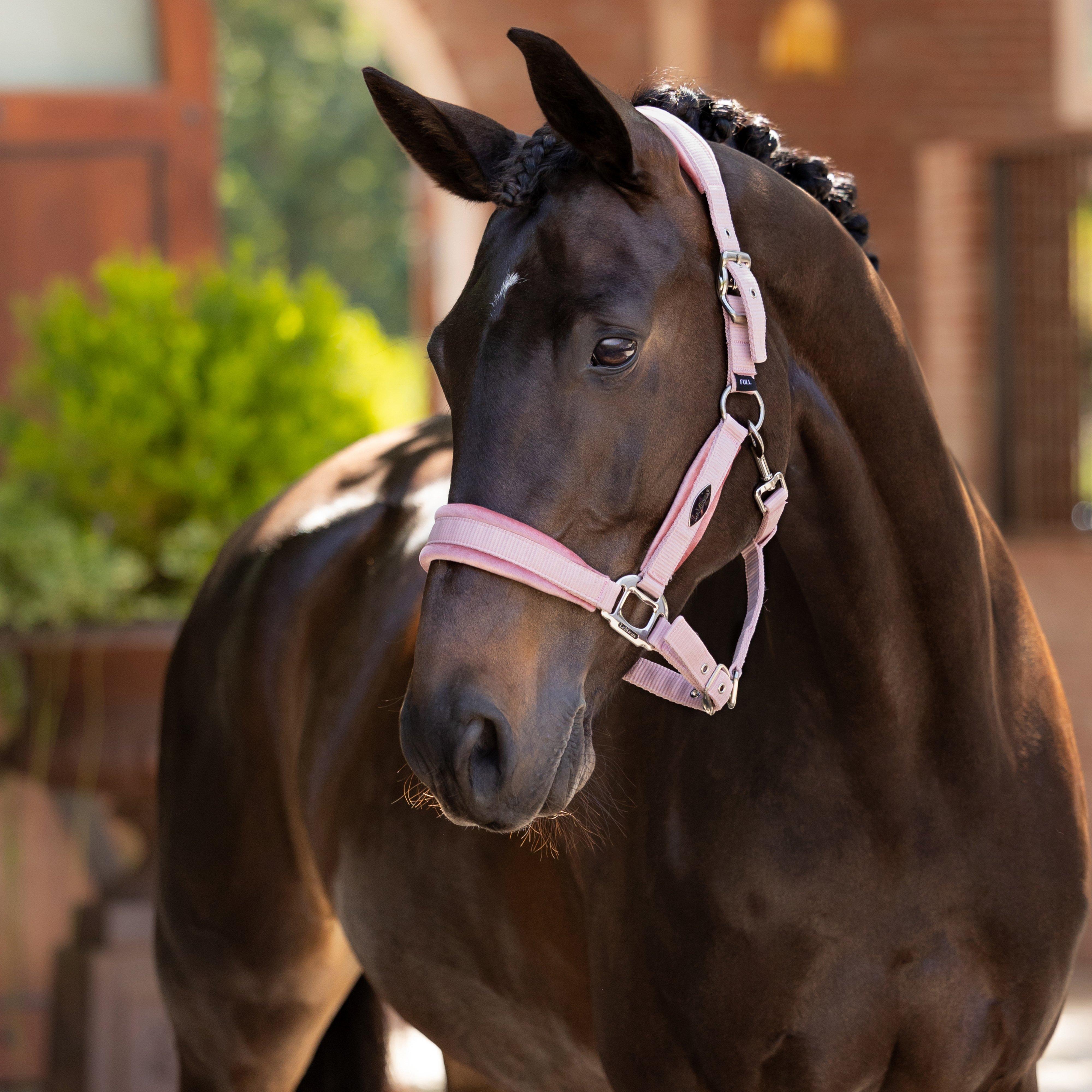 Versailles Headcollar Blossom