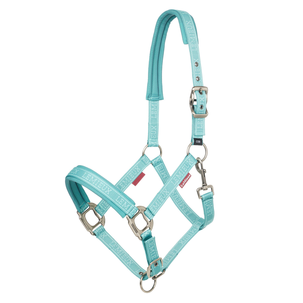 Logo Headcollar Lagoon
