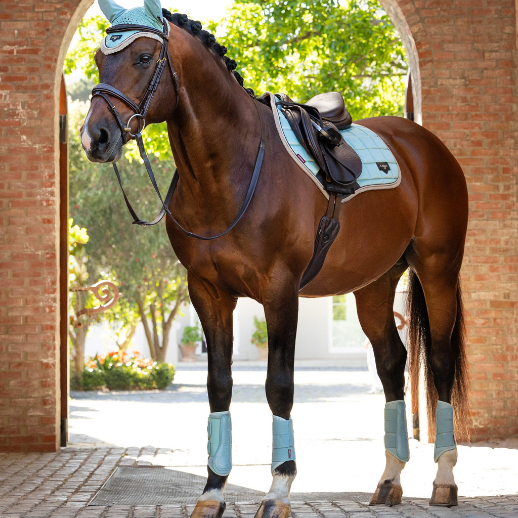 Arika Mesh Brushing Boots Aqua