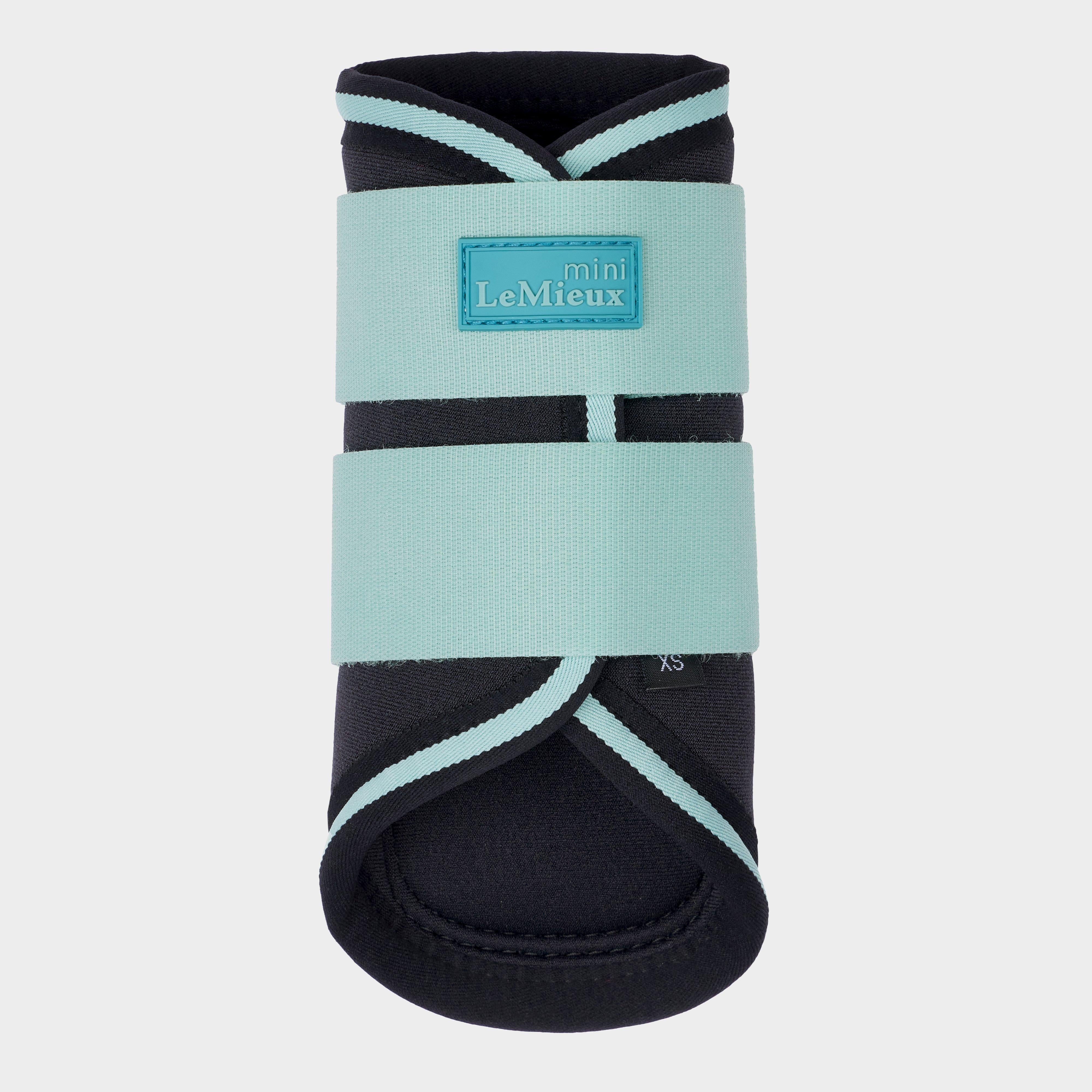 Mini Brushing Boots Aqua