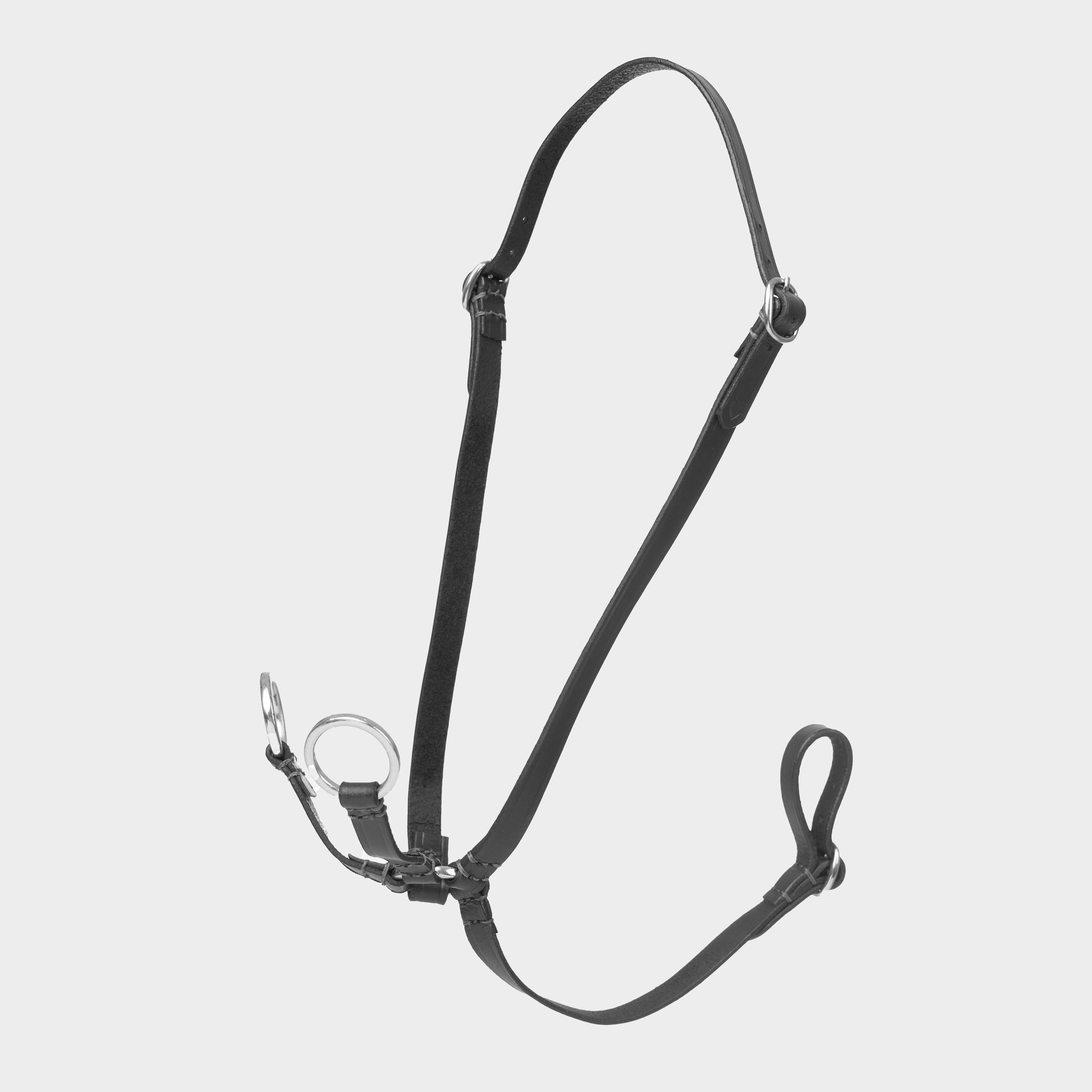 Hobby Horse Running Martingale Black