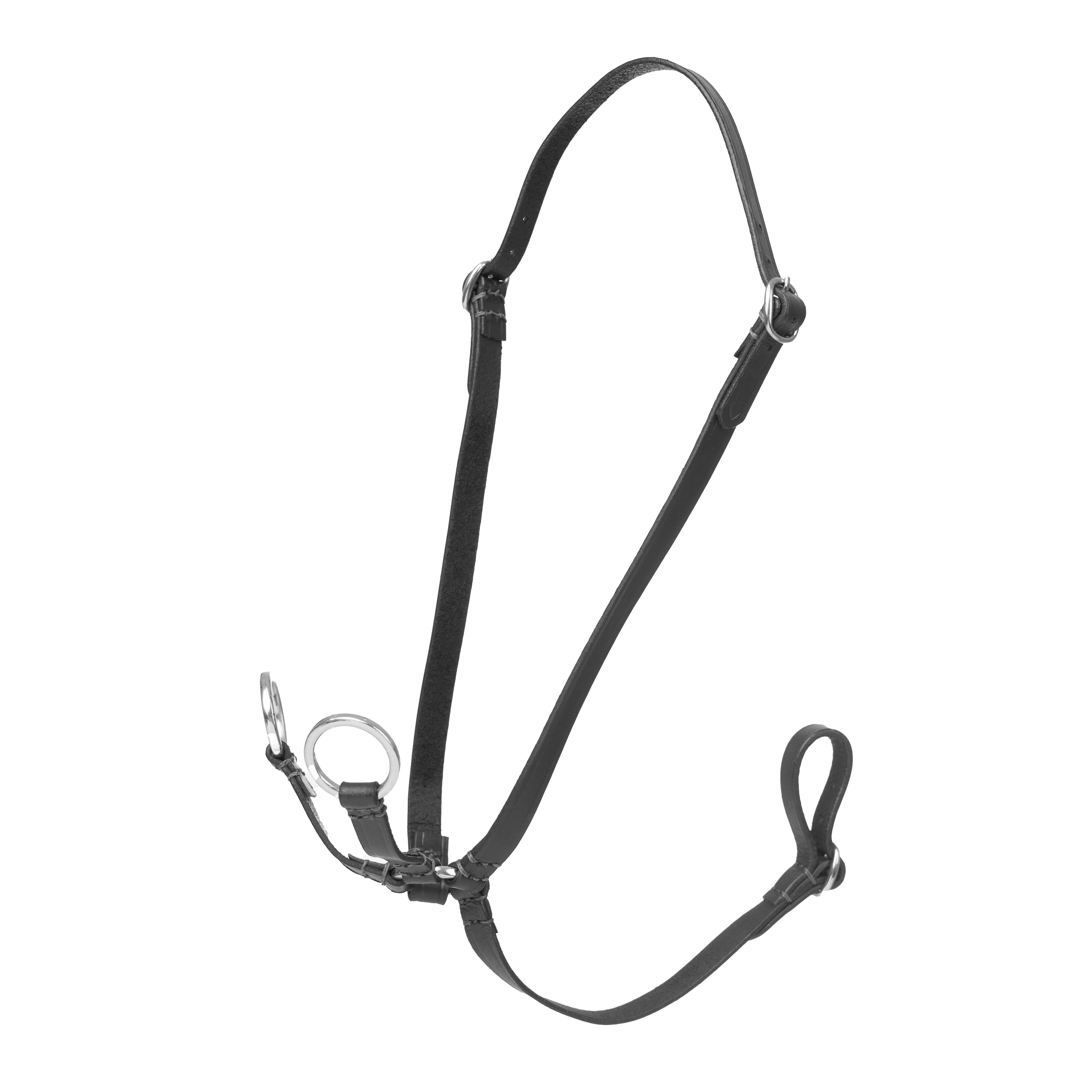 Hobby Horse Running Martingale Black