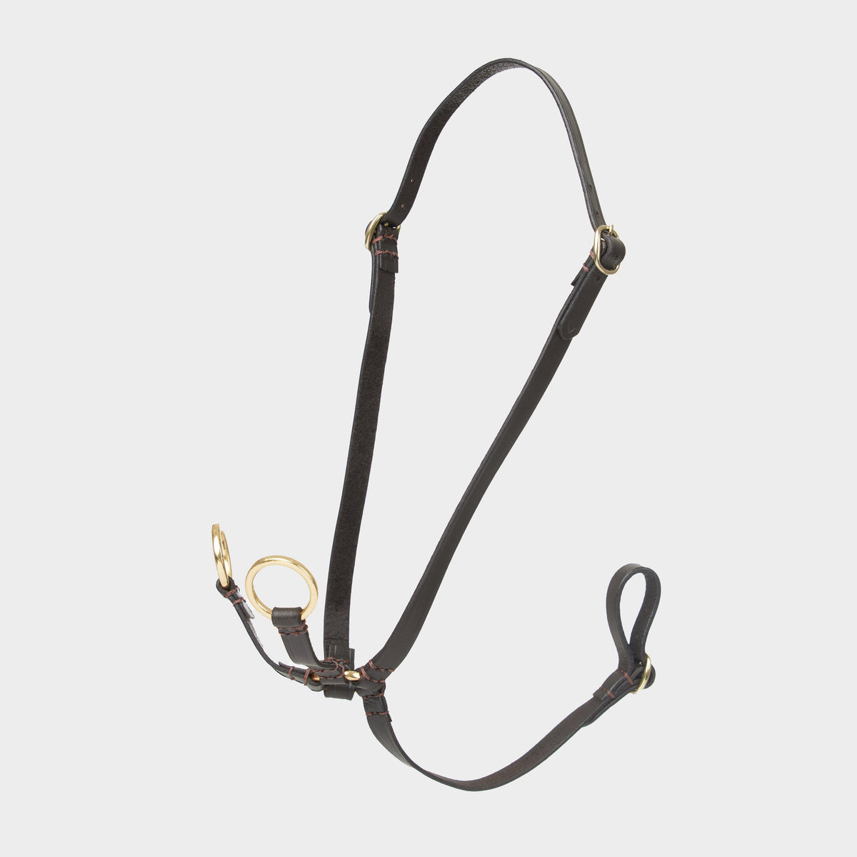 Hobby Horse Running Martingale Brown