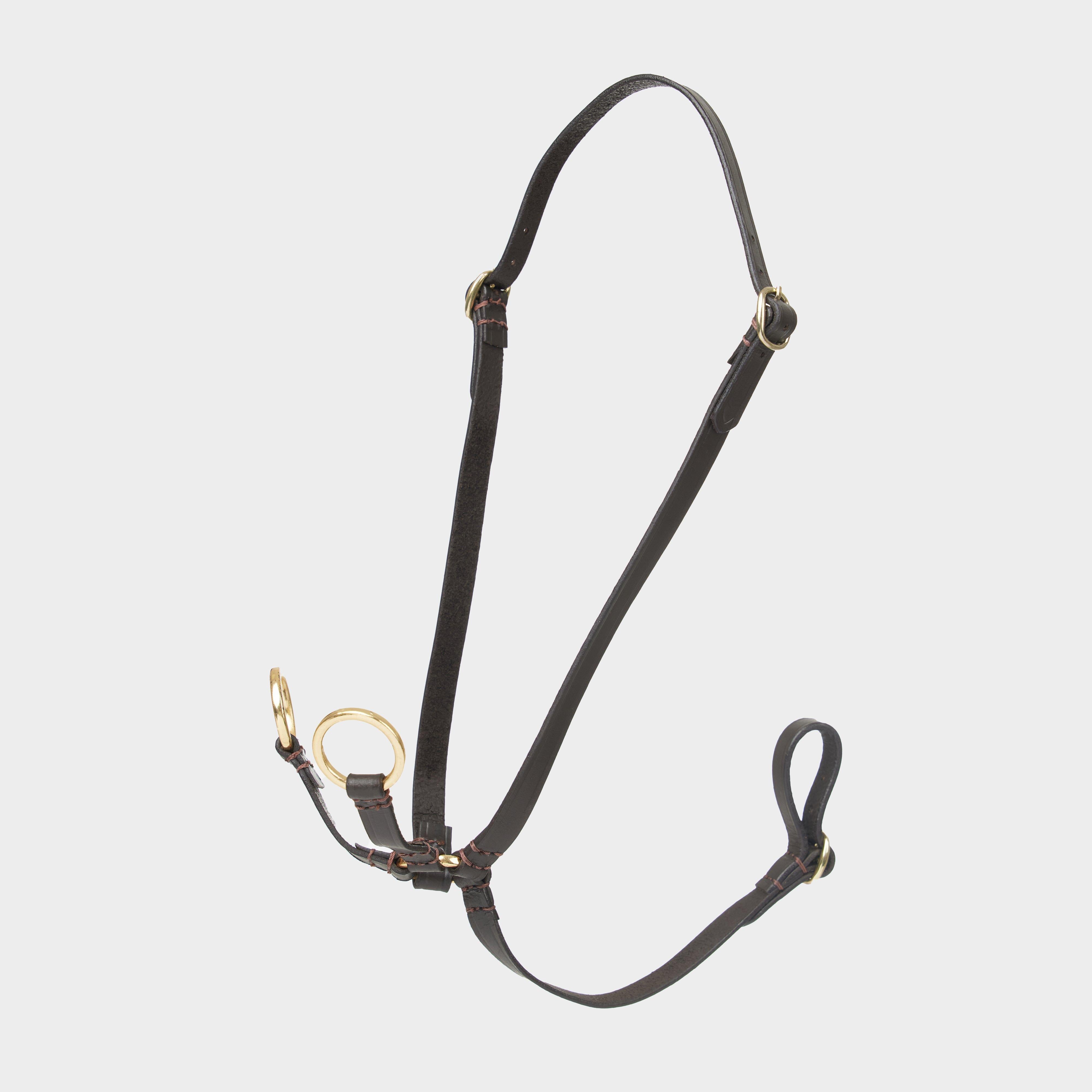 Hobby Horse Running Martingale Brown