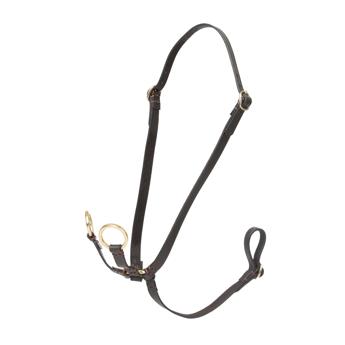 Hobby Horse Running Martingale Brown