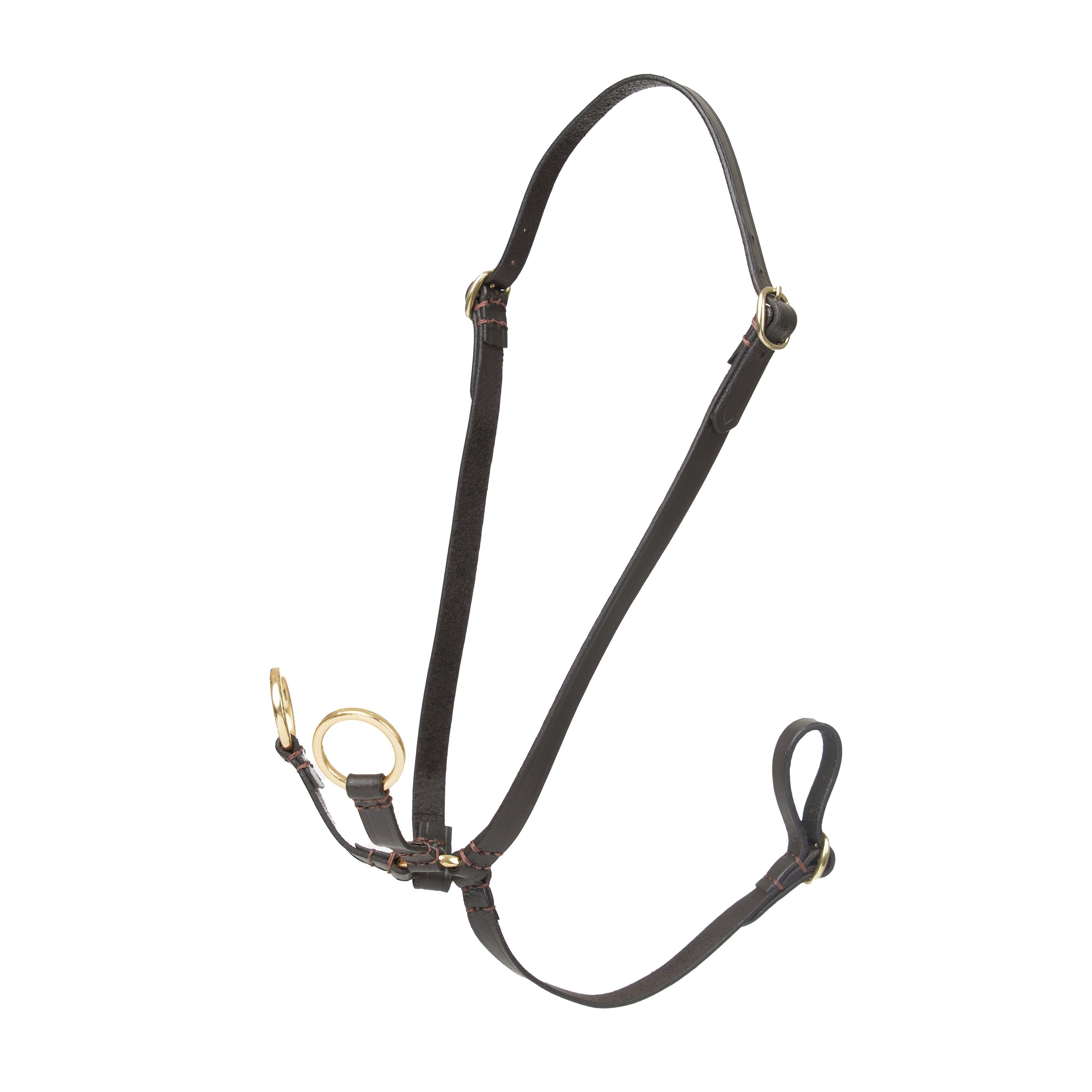 Hobby Horse Running Martingale Brown