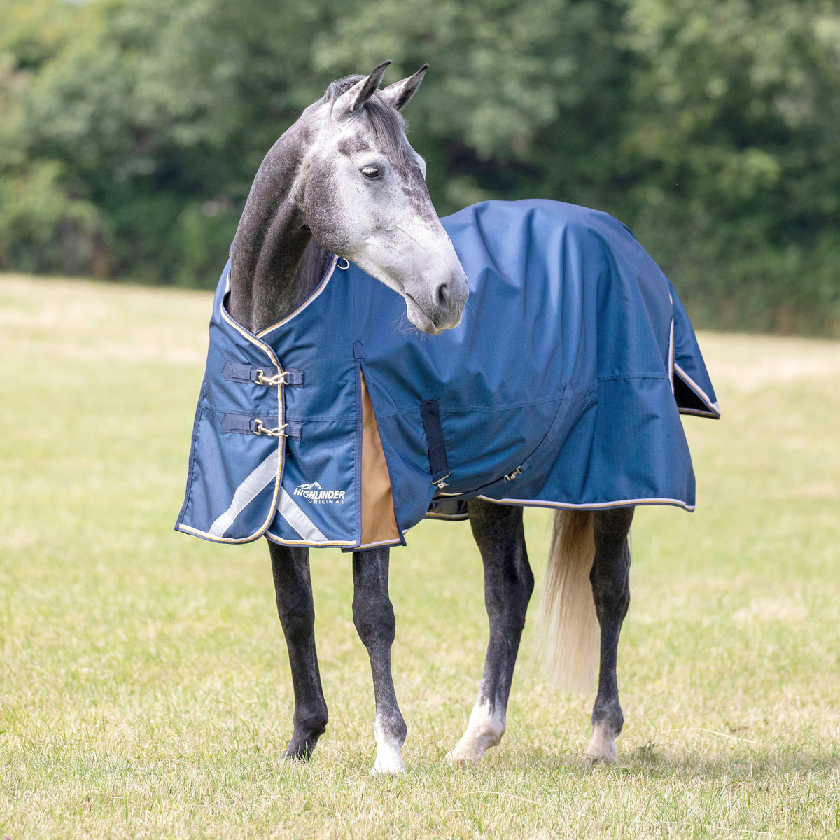 Highlander Plus Lite 0g Standard Neck Turnout Rug Navy
