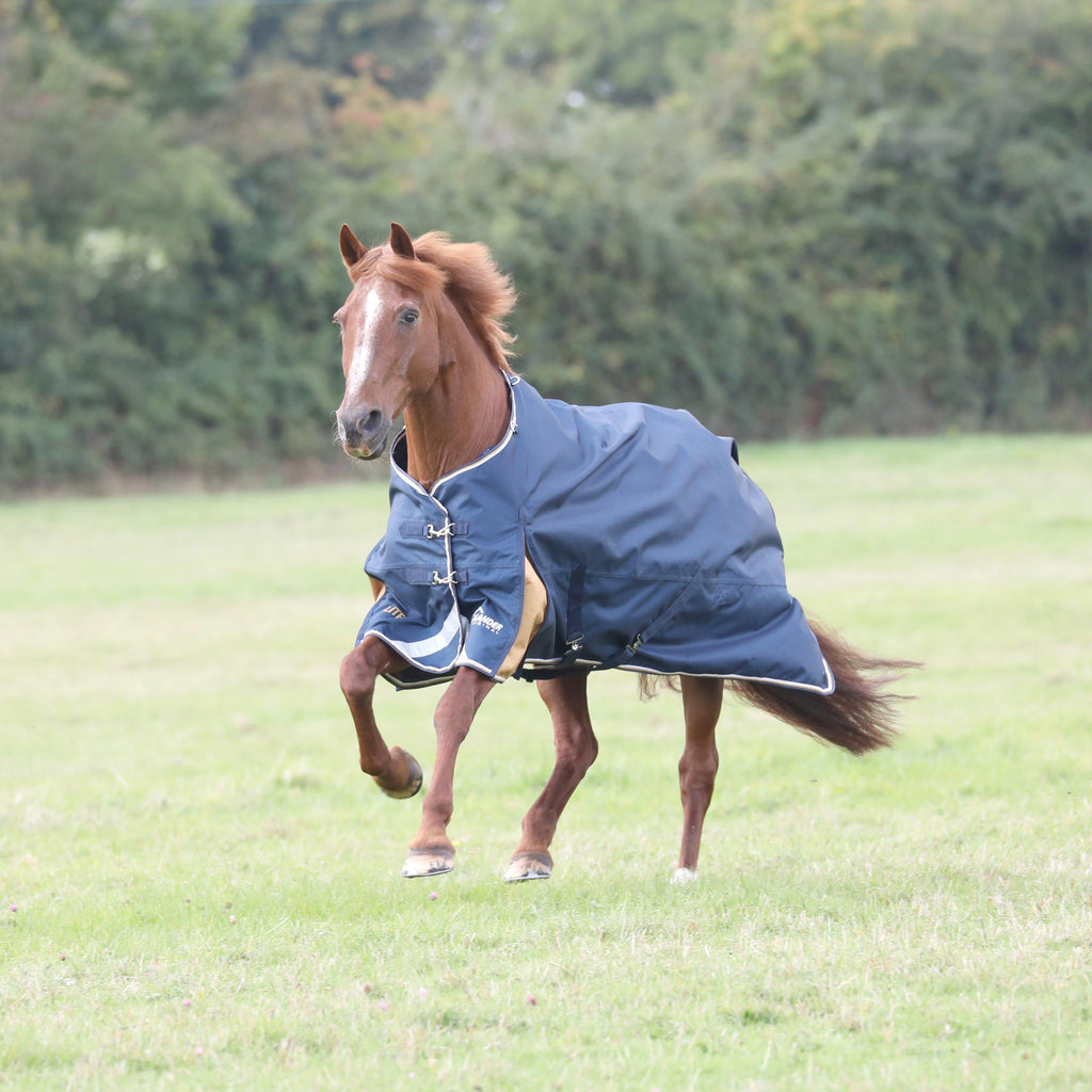 Highlander Plus Lite 0g Standard Neck Turnout Rug Navy
